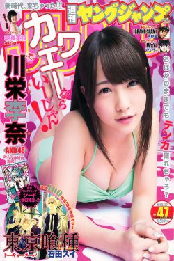 铁血武工队第二部